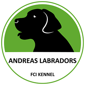 Andreas Labradors